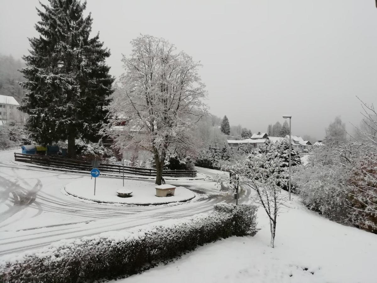 Schoene Aussicht Wieda Walkenried Exterior foto